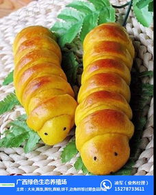 綠色生態(tài)養(yǎng)殖與過期面條回收 橫瀝鎮(zhèn)食品經(jīng)營的循環(huán)經(jīng)濟(jì)新探索
